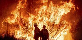 california-lawmakers-push-for-continued-federal-wildfire-aid