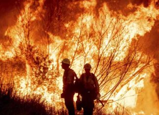 California lawmakers push for continued federal wildfire aid. california-lawmakers-push-for-continued-federal-wildfire-aid