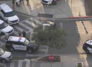 Claremont College Swatting Incident – SoCal’s Second False Shooter Report claremont-college-swatting-ncident-socals-second-false-shooter-report