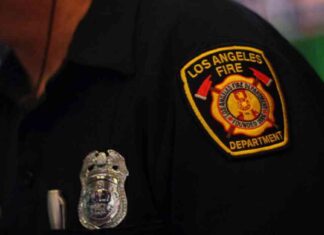 Ex-Firefighter Union Treasurer Investigated for Questionable Car Purchase ex-firefighter-union-treasurer-nvestigated-for-questionable-car-purchase