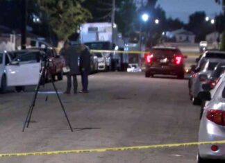 Fatal Shooting of Teenager in Willowbrook: Authorities Investigating fatal-shooting-of-teenager-in-willowbrook-authorities-nvestigating