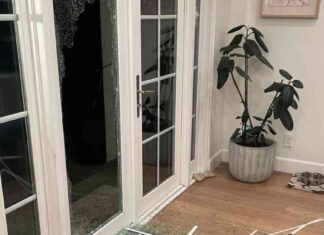 Podcast Host’s Frustration: Waiting on Hold for Emergency Services podcast-hosts-frustration-waiting-on-hold-for-emergency-services