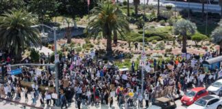 scientists-protest-trumps-policy-changes-in-ucla-and-usc