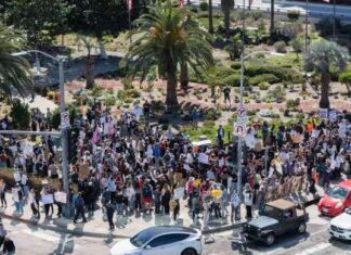 Scientists Protest Trump’s Policy Changes in UCLA and USC scientists-protest-trumps-policy-changes-in-ucla-and-usc