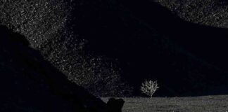 trump-pledges-to-boost-clean-coal-production-in-us