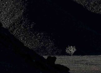 Trump pledges to boost clean coal production in U.S. trump-pledges-to-boost-clean-coal-production-in-us