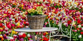 A.F.C. Bournemouth Vs Arsenal F.C. Stats: Full Coverage A.F.C. Bournemouth Vs Arsenal F.C. Stats: Full Coverage