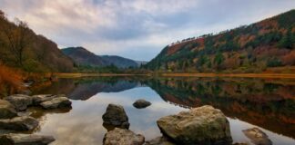 Afghanistan National Cricket Team Vs Ireland Cricket Team Scorecard