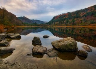 Afghanistan National Cricket Team Vs Ireland Cricket Team Scorecard Afghanistan National Cricket Team Vs Ireland Cricket Team Scorecard