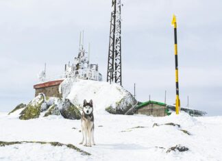 Amanda Cerny OnlyFans Leaks: What We Know and What’s Going Viral Amanda Cerny OnlyFans Leaks: What We Know and What’s Going Viral