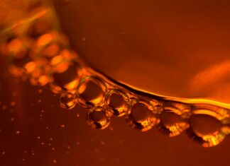 Amber Gianna OnlyFans Leaks: What We Know and What’s Going Viral Amber Gianna OnlyFans Leaks: What We Know and What’s Going Viral