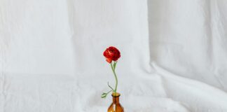 Amber Rose OnlyFans Leaks: What We Know and What’s Going Viral Amber Rose OnlyFans Leaks: What We Know and What’s Going Viral