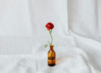 Amber Rose OnlyFans Leaks: What We Know and What’s Going Viral Amber Rose OnlyFans Leaks: What We Know and What’s Going Viral