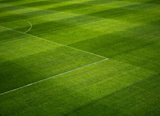 Argentina National Football Team Vs France National Football Team Lineups Argentina National Football Team Vs France National Football Team Lineups