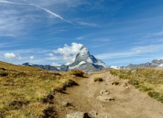 Boston Celtics Vs Dallas Mavericks Match Player Stats Unveiled Boston Celtics Vs Dallas Mavericks Match Player Stats Unveiled