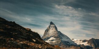 Brighton & Hove Albion F.C. Vs Arsenal F.C. Stats Breakdown Brighton & Hove Albion F.C. Vs Arsenal F.C. Stats Breakdown