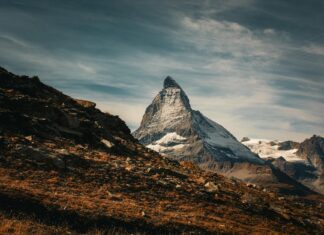 Brighton & Hove Albion F.C. Vs Arsenal F.C. Stats Breakdown Brighton & Hove Albion F.C. Vs Arsenal F.C. Stats Breakdown