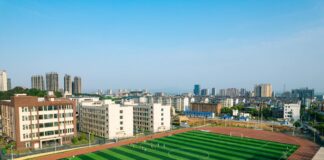 Brighton & Hove Albion F.C. Vs Liverpool F.C. Lineups Brighton & Hove Albion F.C. Vs Liverpool F.C. Lineups