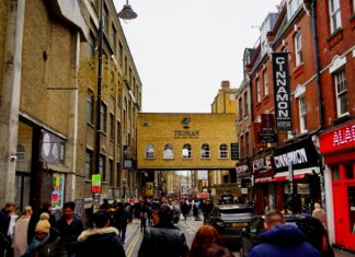 Brighton & Hove Albion F.C. Vs Man City Stats Analysis Brighton & Hove Albion F.C. Vs Man City Stats Analysis