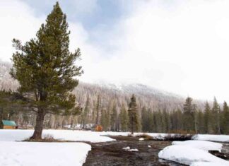 California Snowpack Trifecta After 25 Years california-snowpack-trifecta-after-25-years