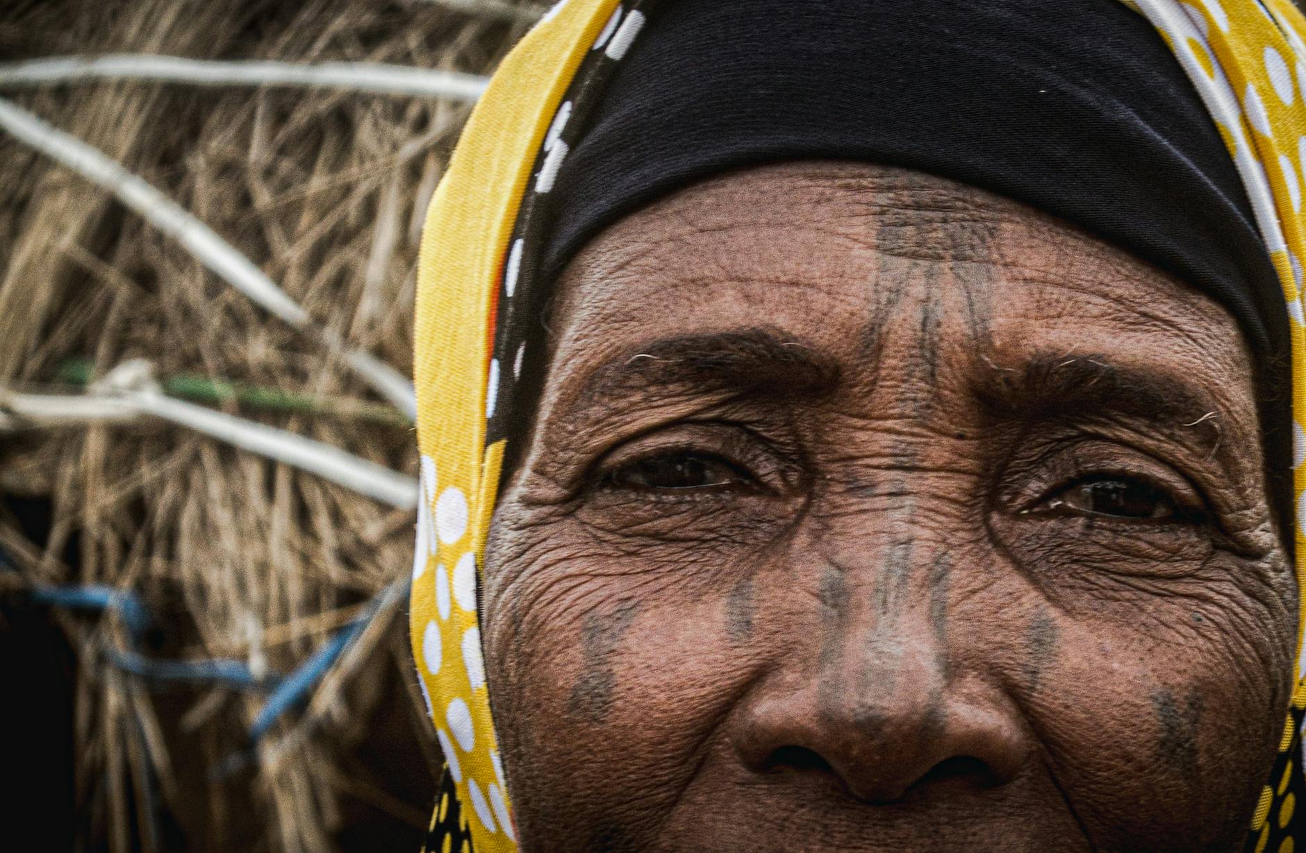 Key Players Performance