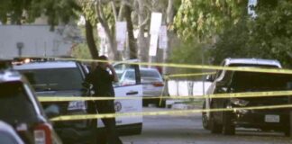 co-owner-allegedly-kills-brother-to-save-mother-in-violent-attack