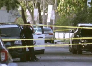 Co-owner allegedly kills brother to save mother in violent attack co-owner-allegedly-kills-brother-to-save-mother-in-violent-attack