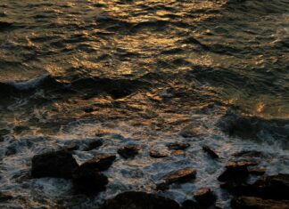 England National Football Team Vs Slovenia National Football Team Stats England National Football Team Vs Slovenia National Football Team Stats