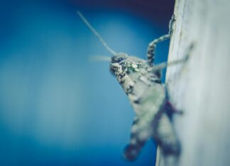 Kolkata Knight Riders Vs Delhi Capitals Match Scorecard Latest Kolkata Knight Riders Vs Delhi Capitals Match Scorecard Latest