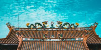 Manchester United F.C. Vs Brighton & Hove Albion F.C. Stats Manchester United F.C. Vs Brighton & Hove Albion F.C. Stats