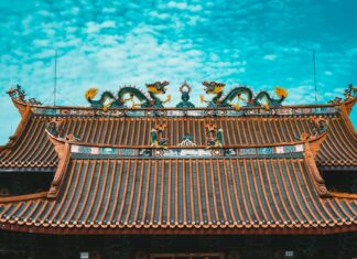 Manchester United F.C. Vs Brighton & Hove Albion F.C. Stats Manchester United F.C. Vs Brighton & Hove Albion F.C. Stats