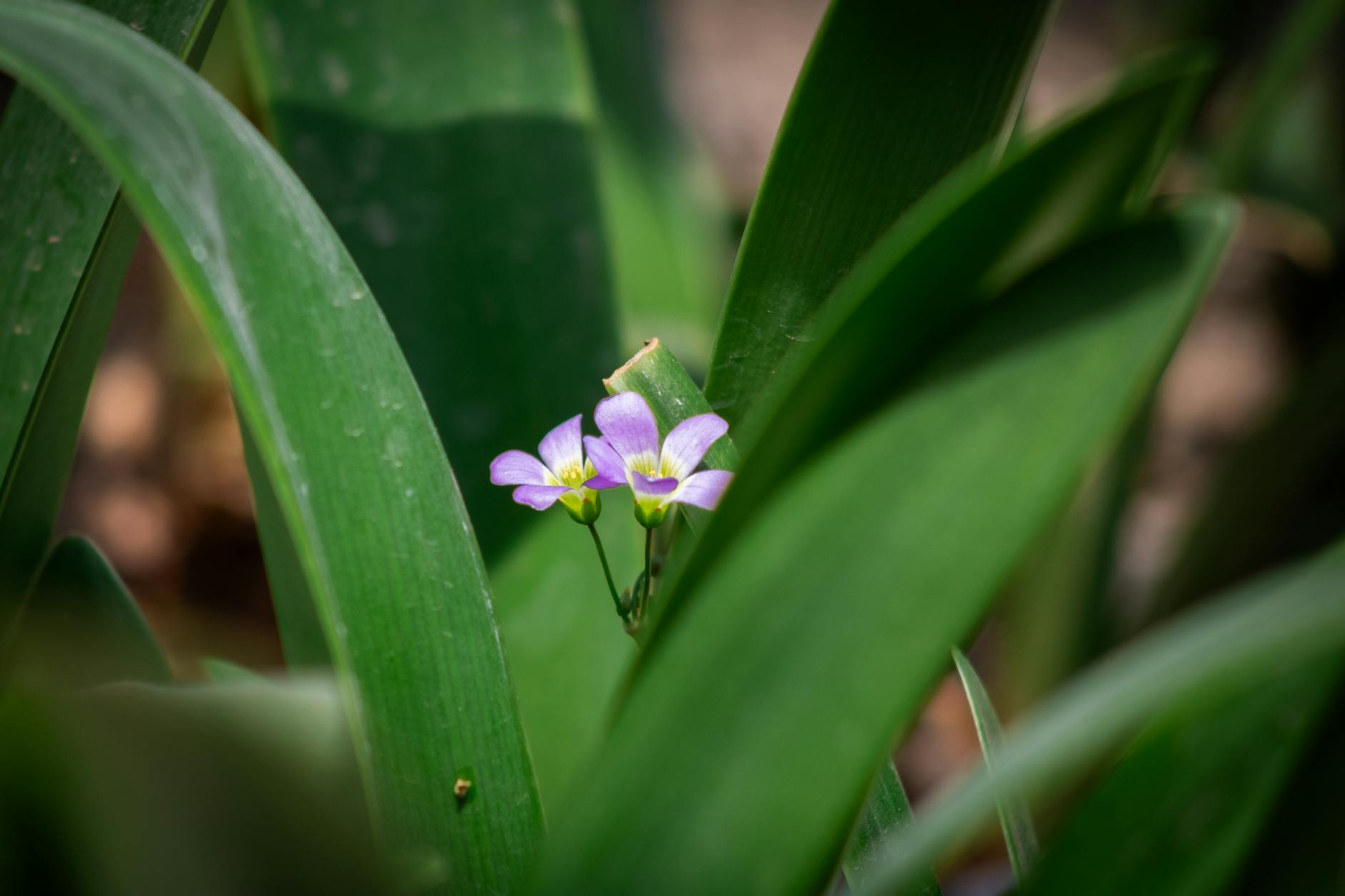 Statistics Breakdown