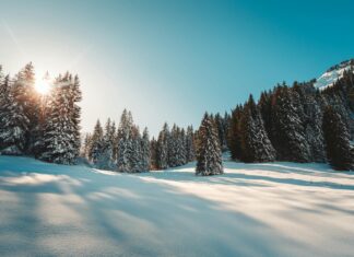 Peshawar Zalmi Vs Multan Sultans Match Scorecard Latest Recap Peshawar Zalmi Vs Multan Sultans Match Scorecard Latest Recap