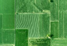 Punjab Kings Vs Gujarat Titans Match Scorecard Revealed Drama Punjab Kings Vs Gujarat Titans Match Scorecard Revealed Drama