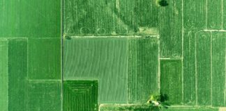 Punjab Kings Vs Gujarat Titans Match Scorecard Revealed Drama Punjab Kings Vs Gujarat Titans Match Scorecard Revealed Drama