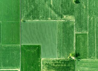 Punjab Kings Vs Gujarat Titans Match Scorecard Revealed Drama Punjab Kings Vs Gujarat Titans Match Scorecard Revealed Drama