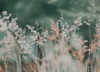 Rajasthan Royals Vs Gujarat Titans Scorecard Stunning Moments Rajasthan Royals Vs Gujarat Titans Scorecard Stunning Moments