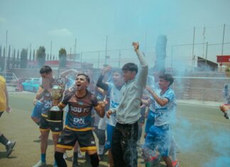 Romania National Football Team Vs Netherlands National Football Team Lineups Romania National Football Team Vs Netherlands National Football Team Lineups