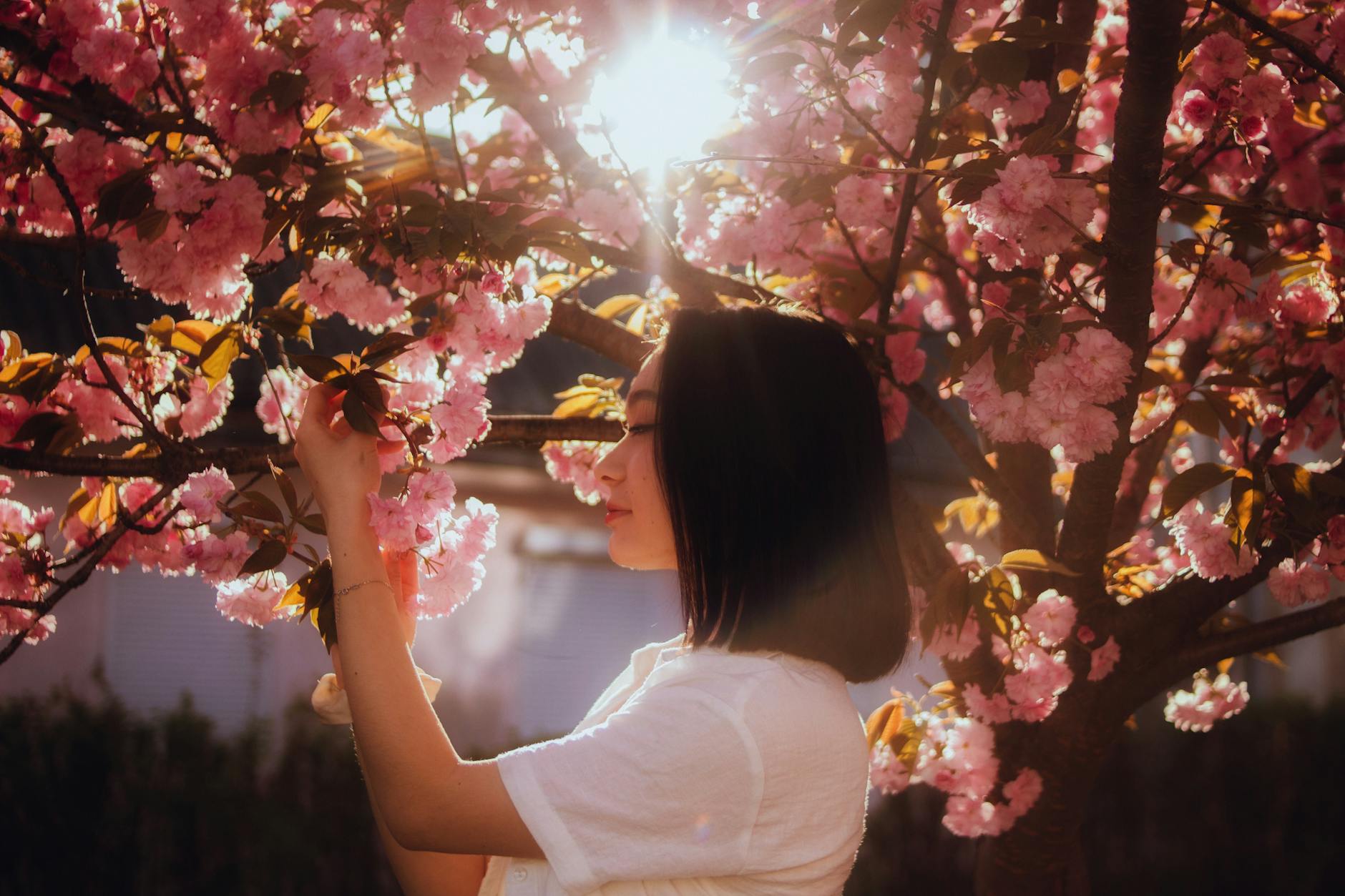 Royal Challengers Bangalore Vs Sunrisers Hyderabad Scorecard Key 7 Conclusion