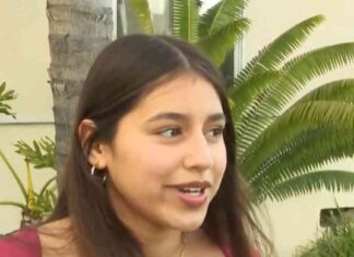 Sea Lion Bites Girl During Long Beach Junior Lifeguards Tryout sea-lion-bites-girl-during-long-beach-junior-lifeguards-tryout