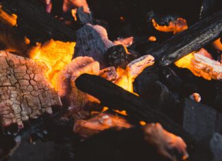 Tottenham Vs Man City Stats: Full Match Performance Tottenham Vs Man City Stats: Full Match Performance