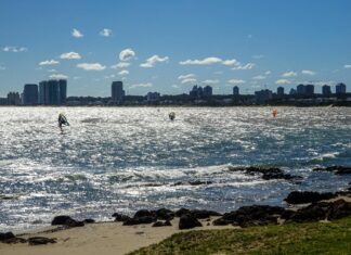 Uruguay National Football Team Vs Paraguay National Football Team Lineups Uruguay National Football Team Vs Paraguay National Football Team Lineups
