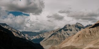 Wolverhampton Wanderers F.C. Vs A.F.C. Bournemouth Lineups Wolverhampton Wanderers F.C. Vs A.F.C. Bournemouth Lineups