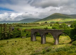 Zimbabwe National Cricket Team Vs Ireland Cricket Team Scorecard Zimbabwe National Cricket Team Vs Ireland Cricket Team Scorecard