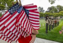 2025 Memorial Day Flag Placement Event in Los Angeles – Photo Highlights 2025-memorial-day-flag-placement-event-in-los-angeles-photo-highlights