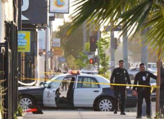 Fatal Shooting Incident in South Los Angeles: Two Dead, One Injured fatal-shooting-ncident-in-south-los-angeles-two-dead-one-njured