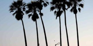 heat-wave-alert-triple-digit-temperatures-expected-in-san-fernando-valley