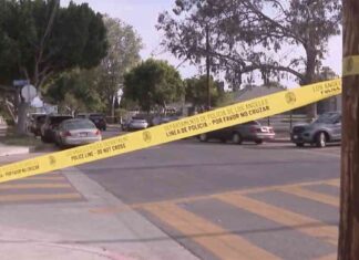 Police Shoot and Kill Man Suspected of Stabbing Woman in North Hollywood police-shoot-and-kill-man-suspected-of-stabbing-woman-in-north-hollywood