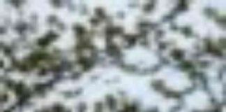 proposed-legislation-threatens-a-protections-for-californians