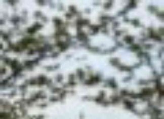 Proposed Legislation Threatens AI Protections for Californians proposed-legislation-threatens-a-protections-for-californians